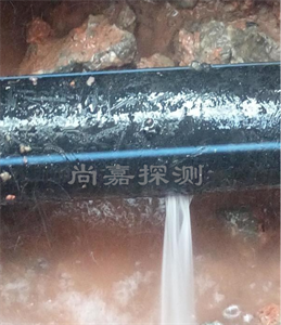 禹会消防管道漏点探测
